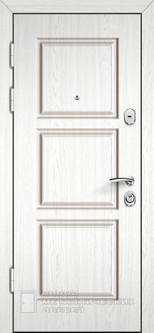 Фото «Дверь с терморазрывом №55» в Бронницам